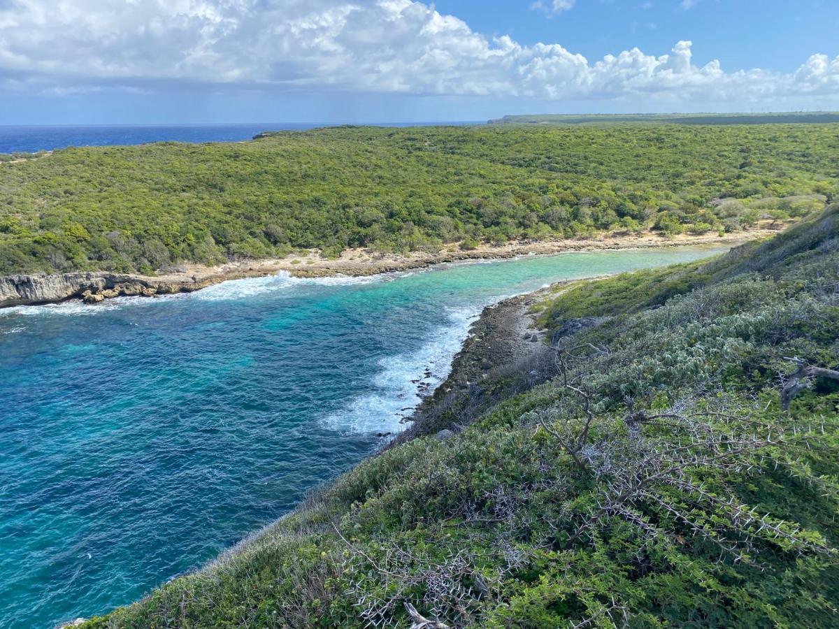 LE CAMASSIA - Studio de standing dans résidence privée avec accès Piscine et plage. Saint-Francois  Esterno foto