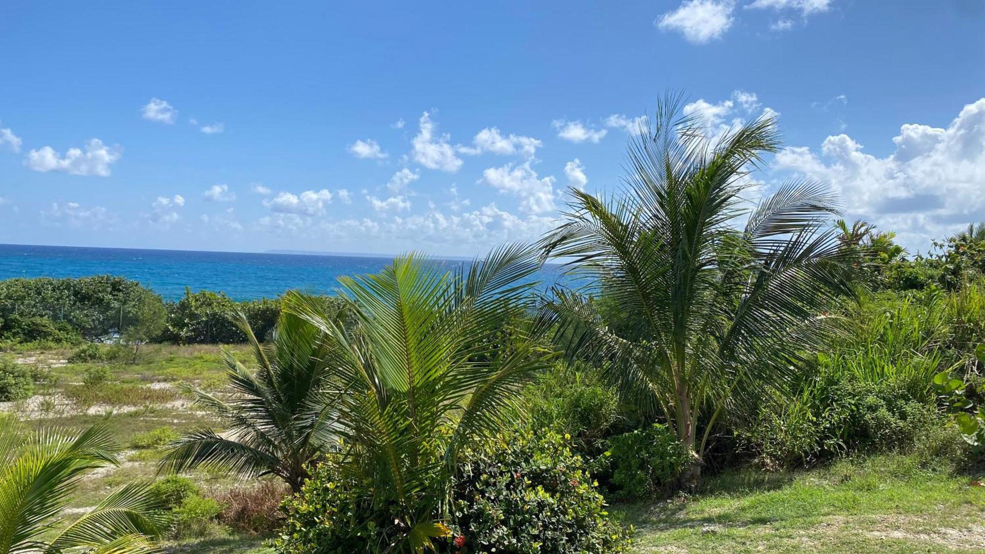 LE CAMASSIA - Studio de standing dans résidence privée avec accès Piscine et plage. Saint-Francois  Esterno foto